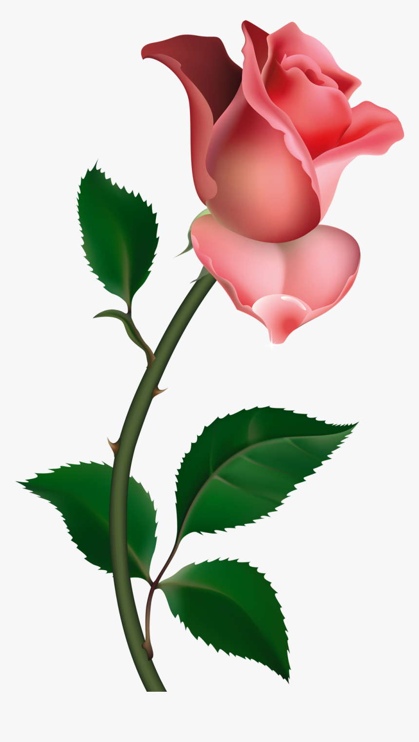 Clipart Rose Png Picture To My Mom, Liz - Rose Clipart, Transparent Png, Free Download