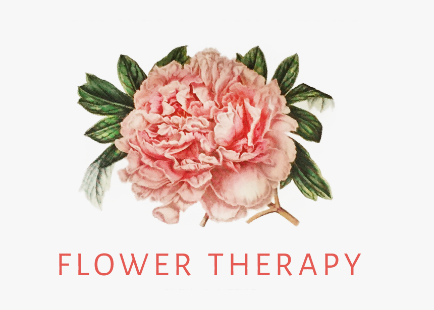 Flower Therapy Florist - Vintage Peony Png, Transparent Png, Free Download