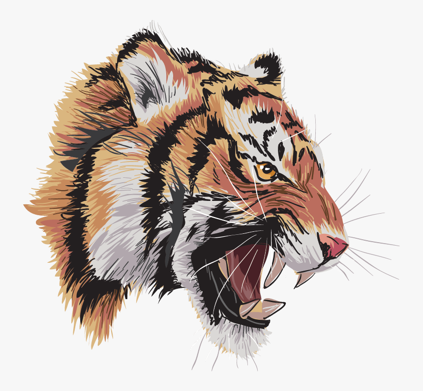 Siberian 13. Оскар тигр. Tiger Roar PNG. Tiger Roar Clipart. Roaring Tiger cartoon.