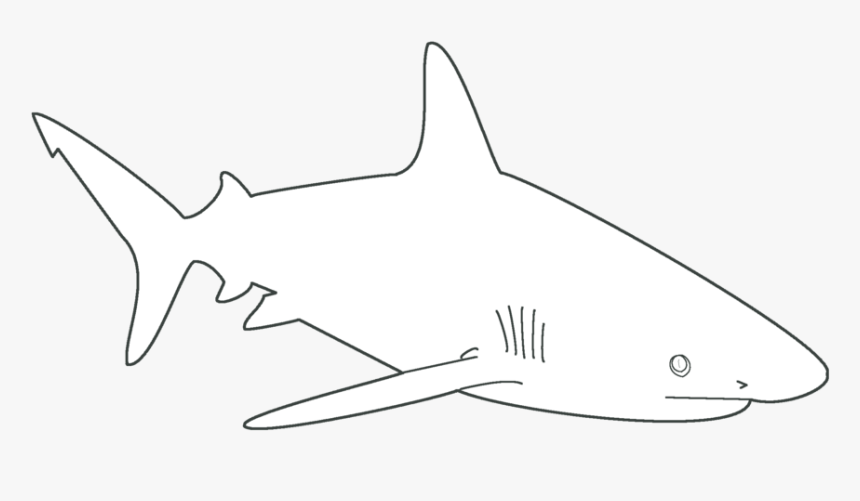 Great White Shark, HD Png Download, Free Download