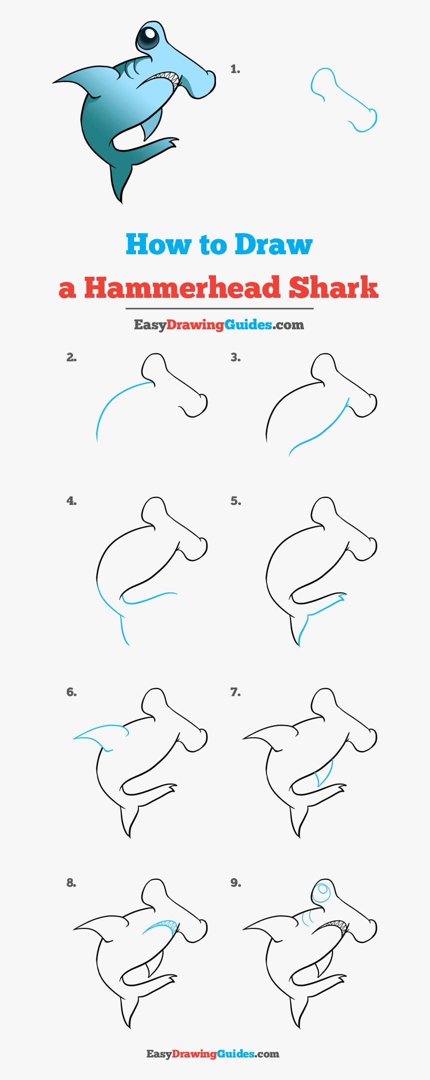 How To Draw Hammerhead Shark - Hammerhead Shark Drawing Easy, HD Png Download, Free Download