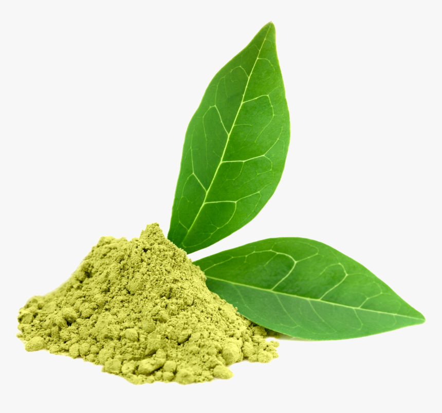 Green Tea Png, Transparent Png, Free Download