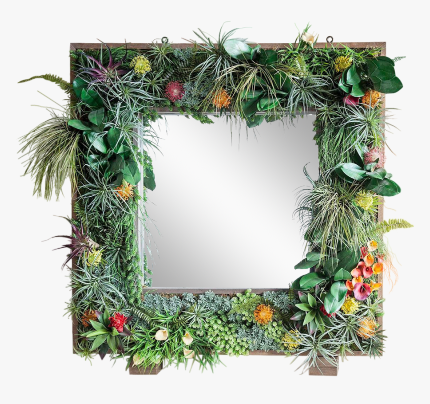 Transparent Jungle Frame Png - Wreath, Png Download, Free Download