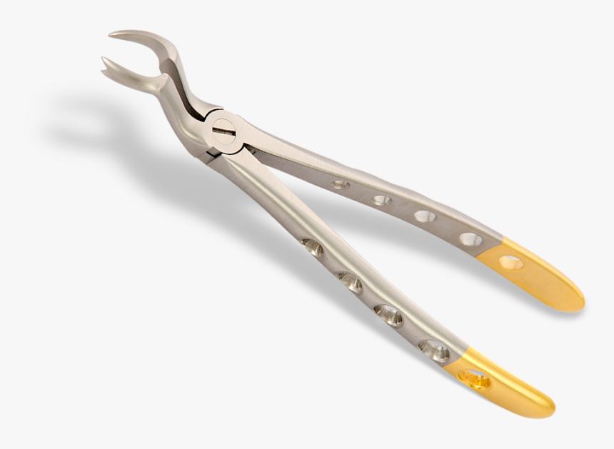 - Dental Instruments Png , Png Download - Strap, Transparent Png, Free Download