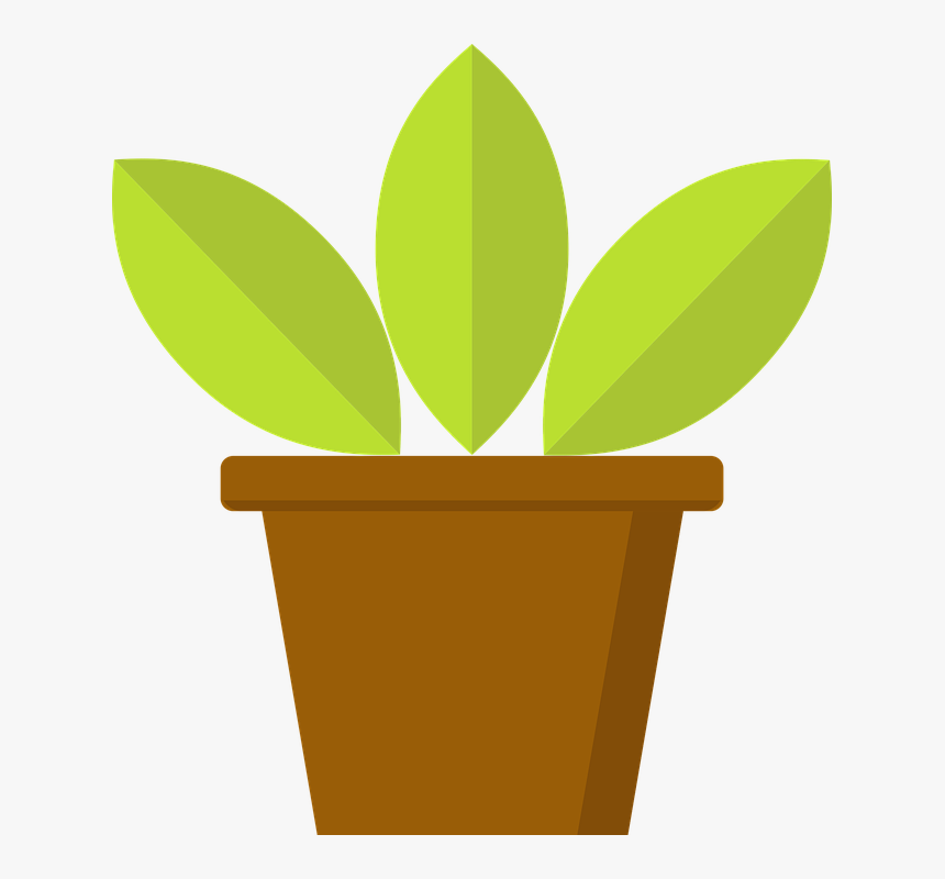 Flowerpot, HD Png Download, Free Download