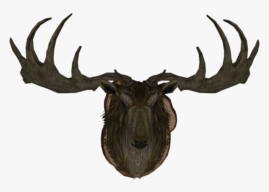 Maleelkmounthf - Skyrim Elk Wall Mount, HD Png Download, Free Download