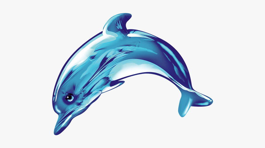 Cute Dolphin Png, Transparent Png, Free Download