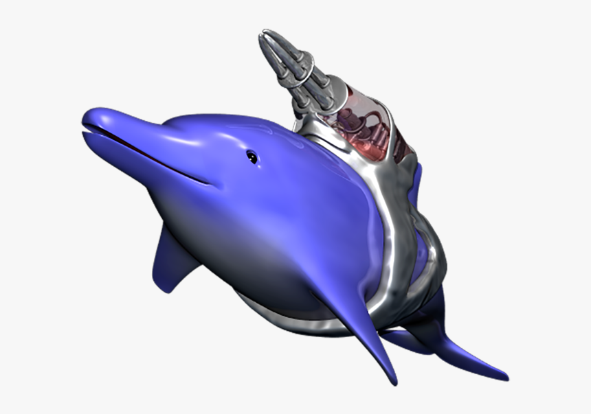 Dolphin Png, Transparent Png, Free Download