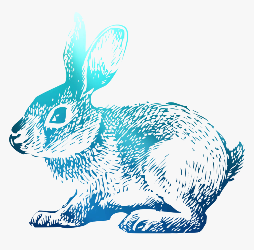 Domestic T-shirt Hoppy Rabbit Easter Bunny Clipart, HD Png Download, Free Download