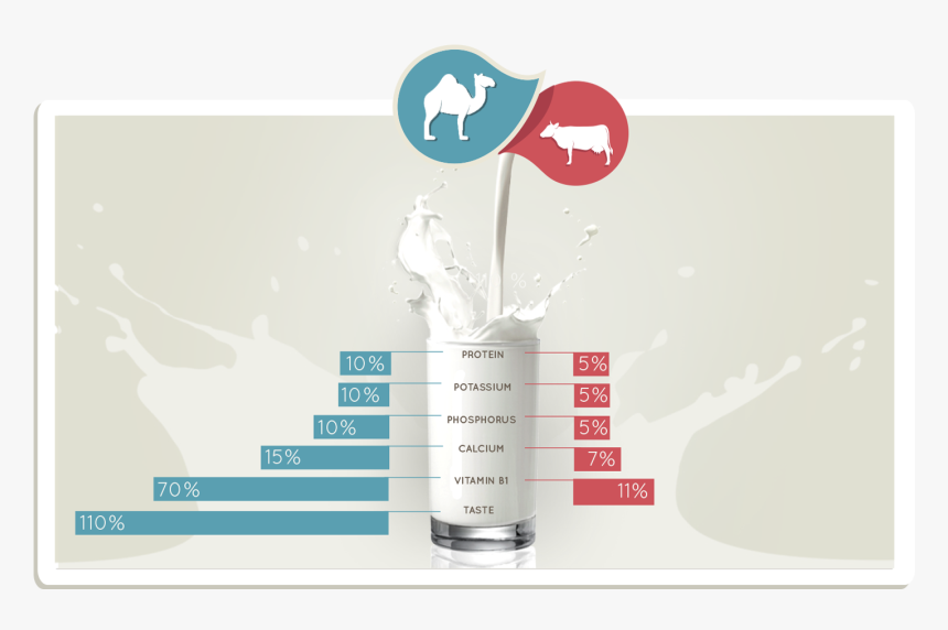 Camel Milk V Cow Milk, HD Png Download, Free Download