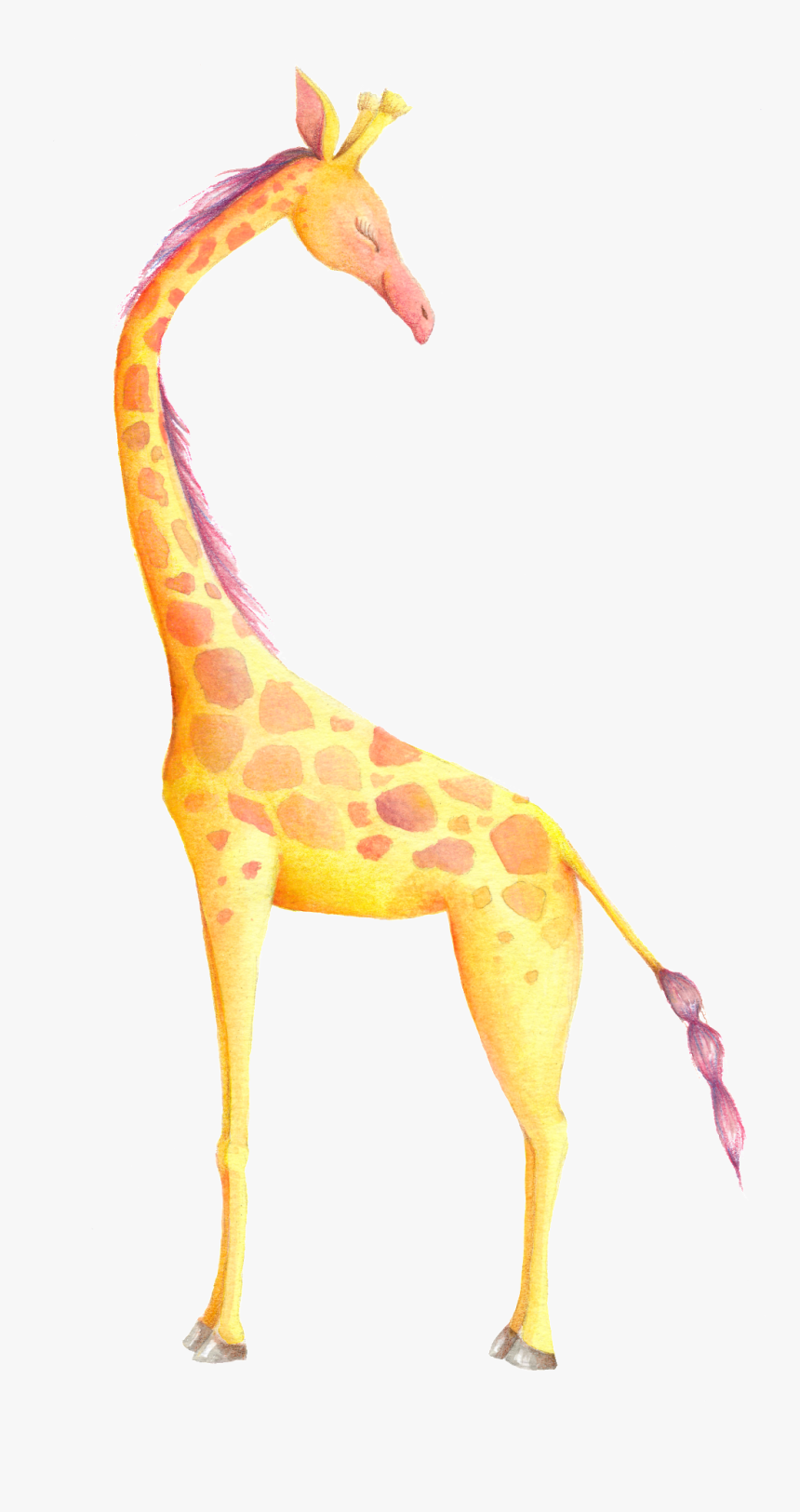 Zoo Giraffe Cartoon Transparent, HD Png Download - kindpng