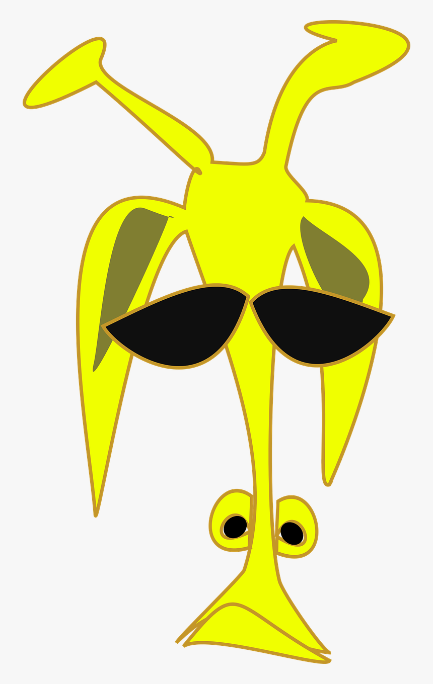 Giraffe Png, Transparent Png, Free Download