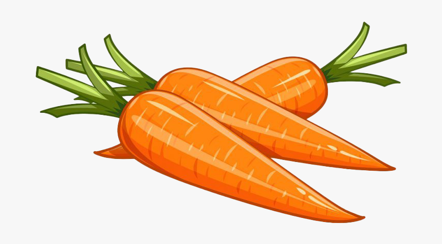 Vector Carrot Png Picture, Transparent Png, Free Download