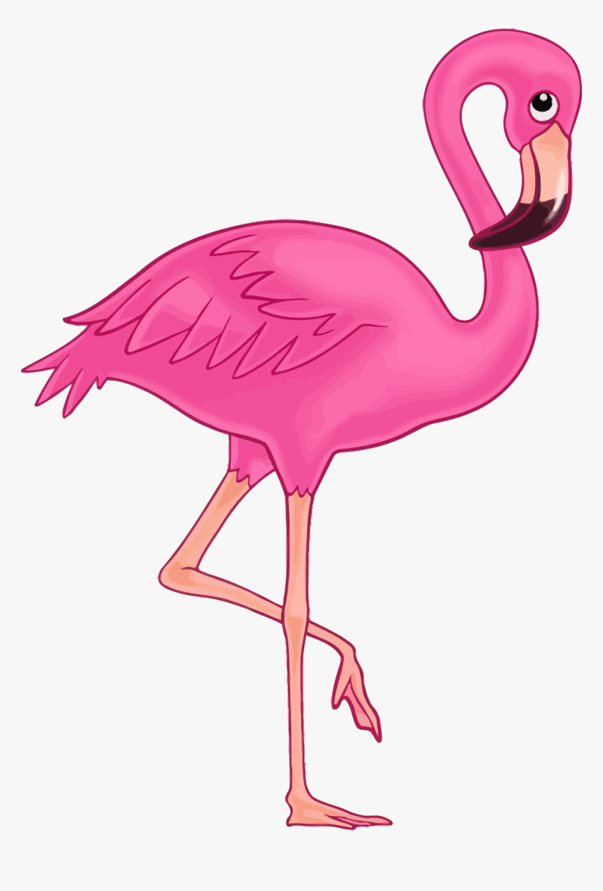 Flamingo Png, Transparent Png, Free Download