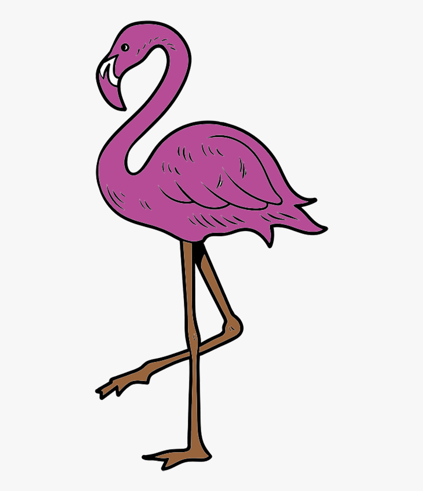 Flamingo Png, Transparent Png, Free Download