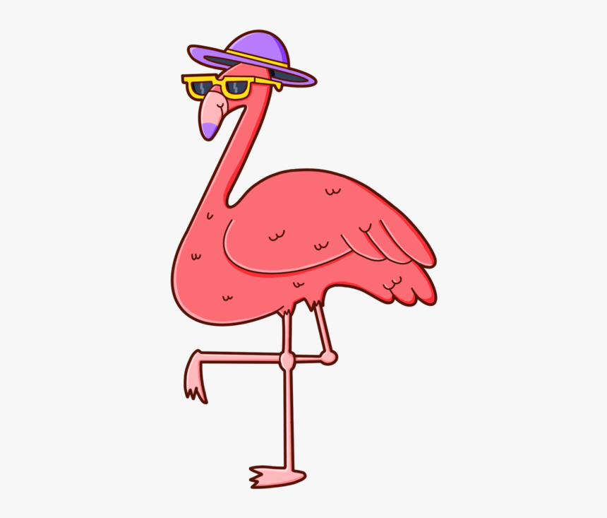 Flamingo, HD Png Download, Free Download