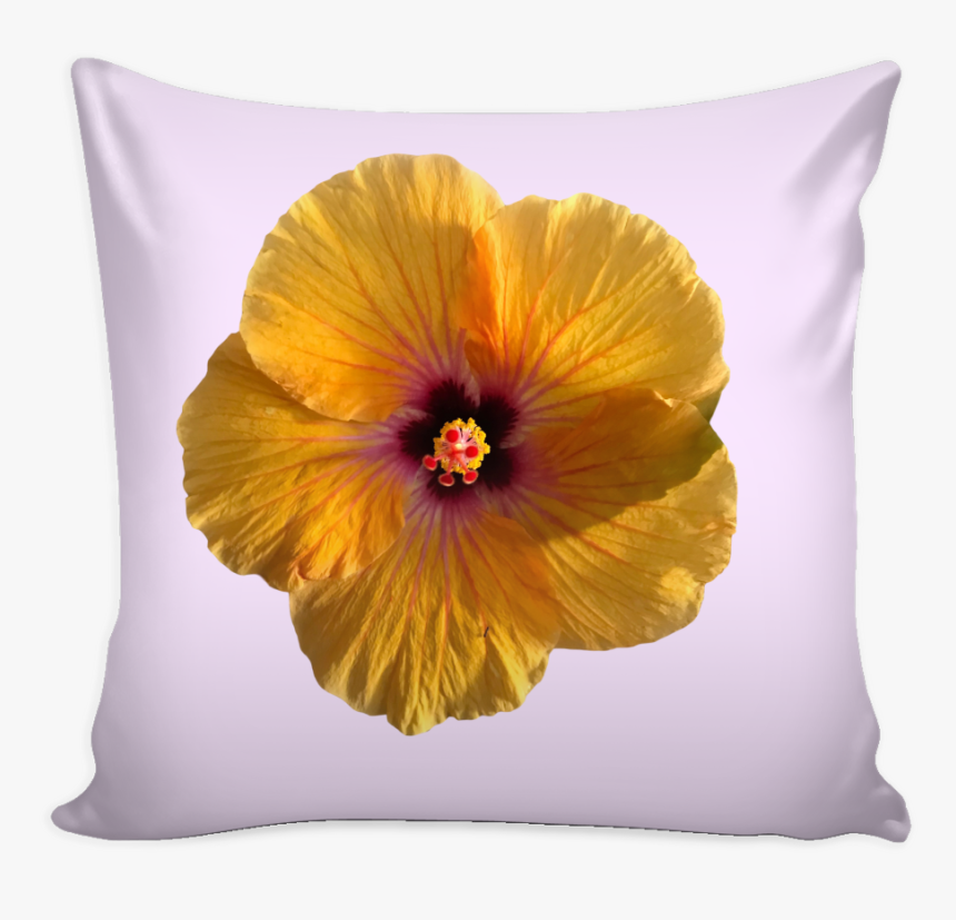 Transparent Hibiscus Flower Png, Png Download, Free Download