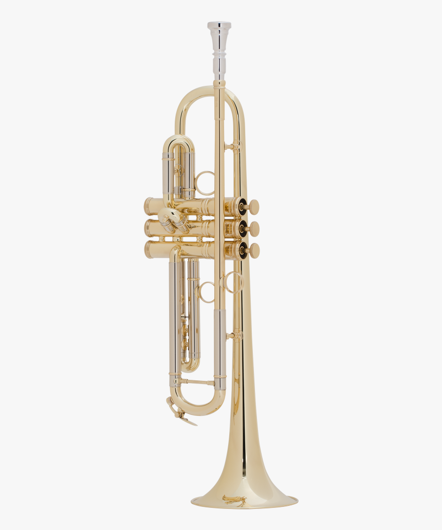 Trumpet Png, Transparent Png, Free Download