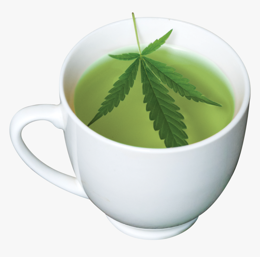 When/how To Drink Cbd Tea, HD Png Download, Free Download