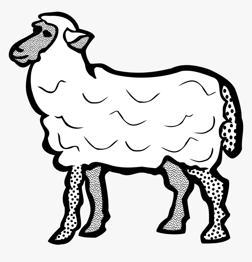 Sheep Png, Transparent Png, Free Download