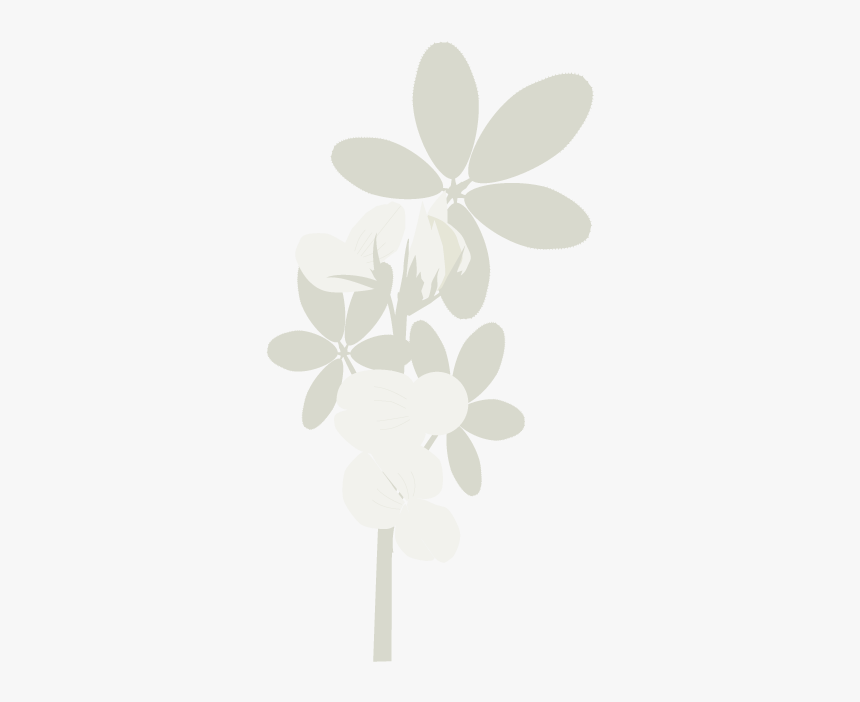 Lotus Png, Transparent Png, Free Download