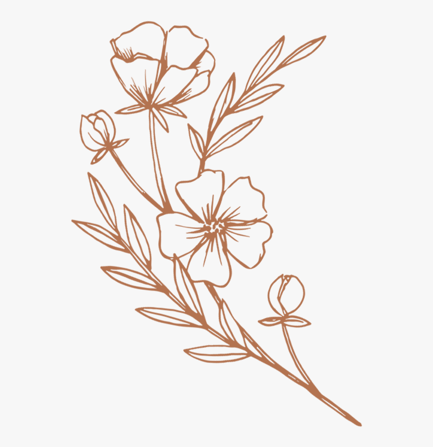 Hibiscus Png, Transparent Png, Free Download