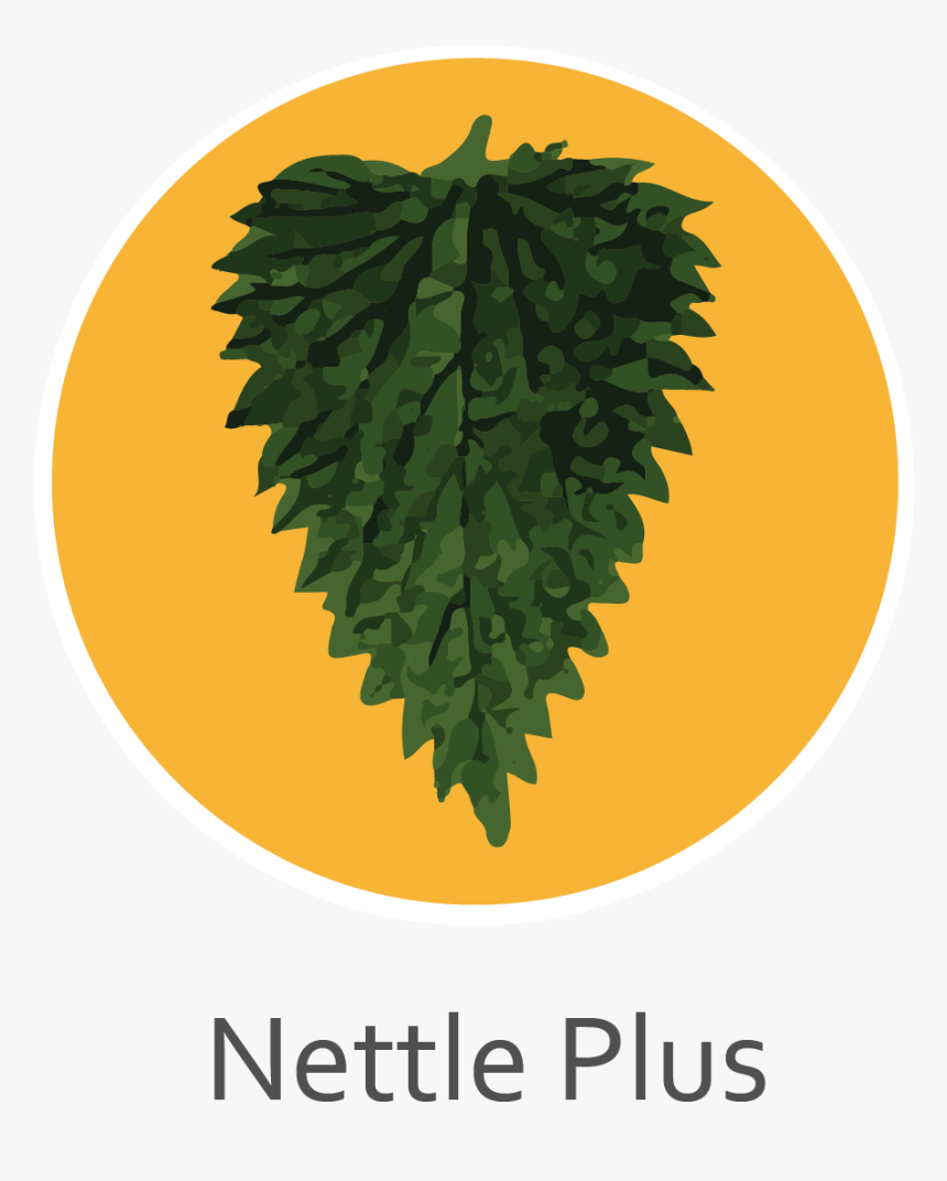 Nettle Plus, HD Png Download, Free Download