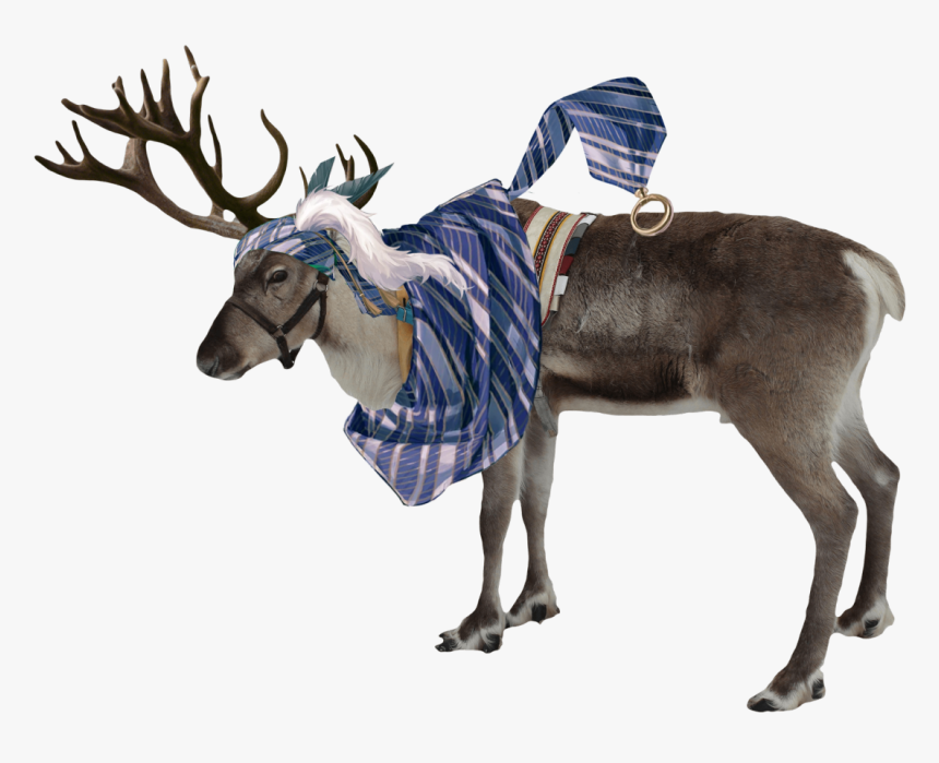 Transparent Reindeer Antlers Png Tumblr, Png Download, Free Download