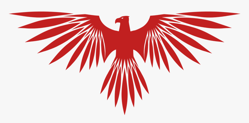 Hawk Png, Transparent Png, Free Download