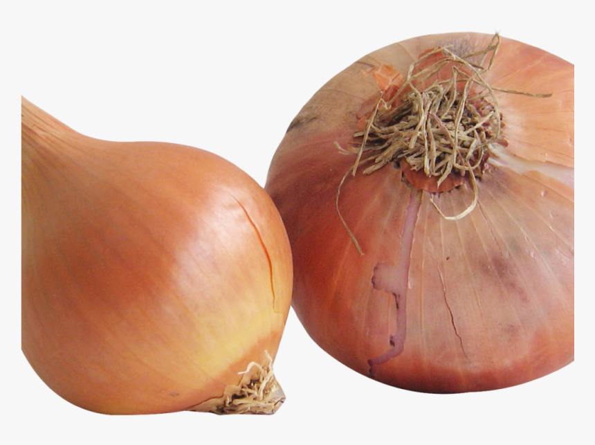 Onion Png Image1, Transparent Png, Free Download