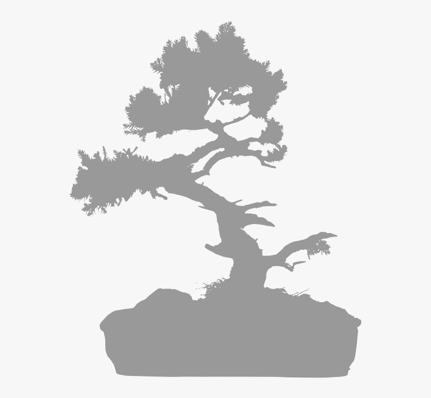 Chinese Elm - Oak, HD Png Download, Free Download