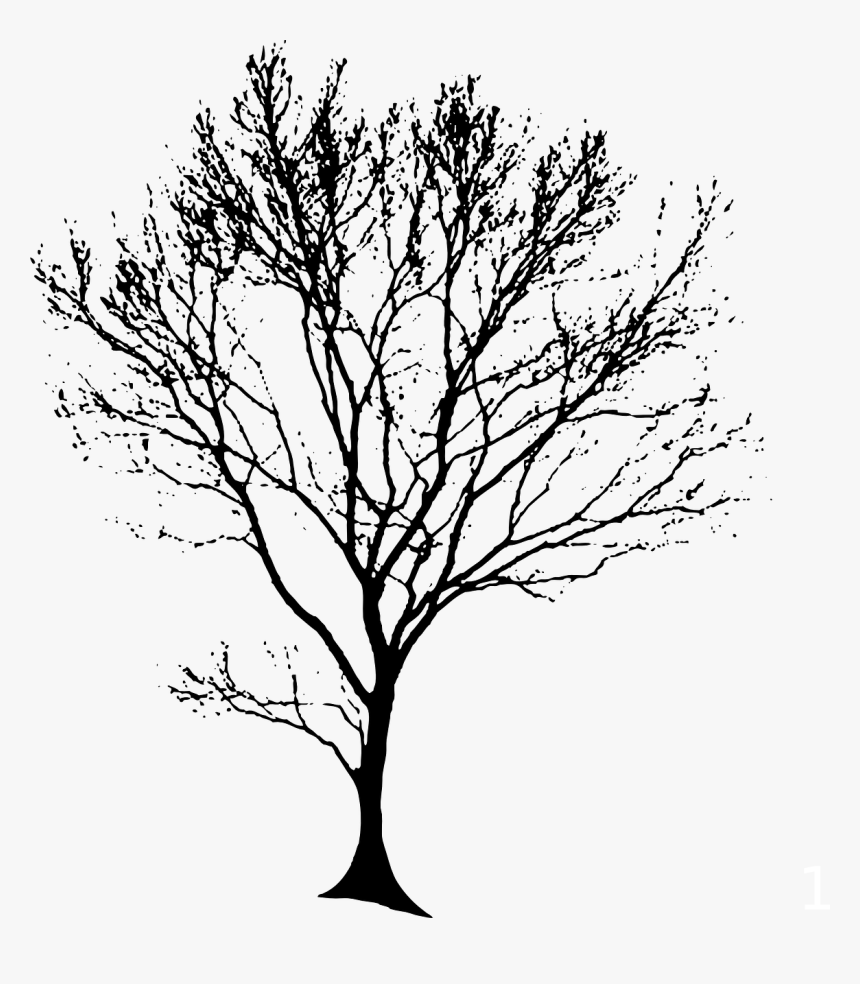 Tree Silhouette Black Free Picture - Tree Silhouette Architecture Png, Transparent Png, Free Download