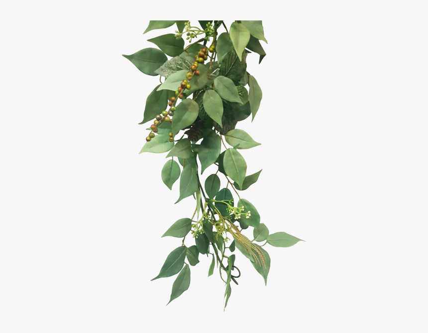 Berry Garland Png - Houseplant, Transparent Png, Free Download