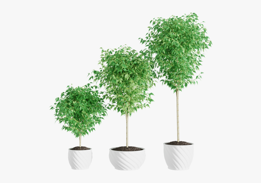 Flowerpot, HD Png Download, Free Download