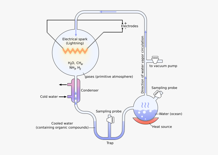 Miller And Urey Experiment, HD Png Download, Free Download