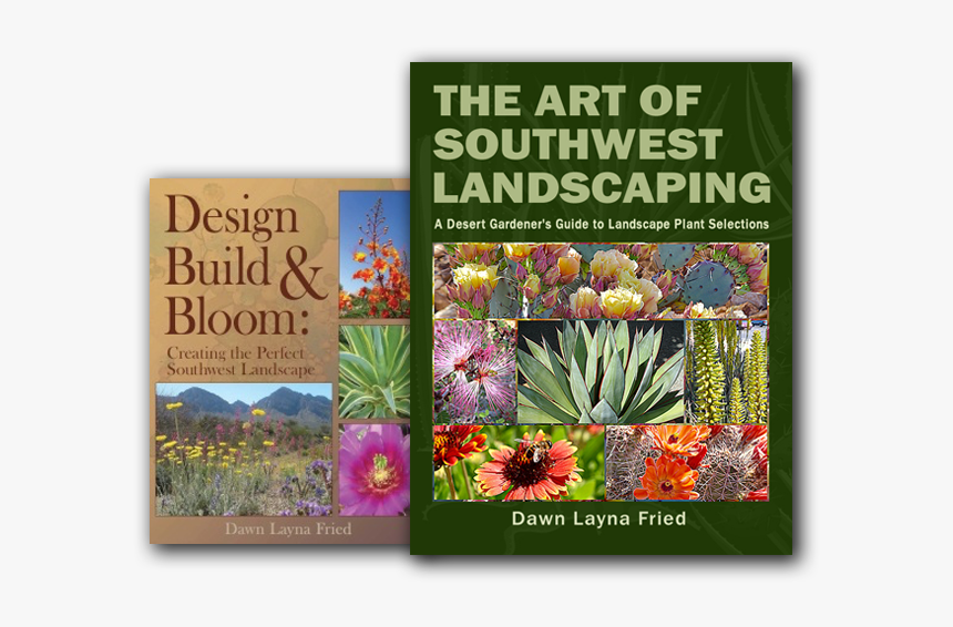 Landscape Desert Book, HD Png Download, Free Download