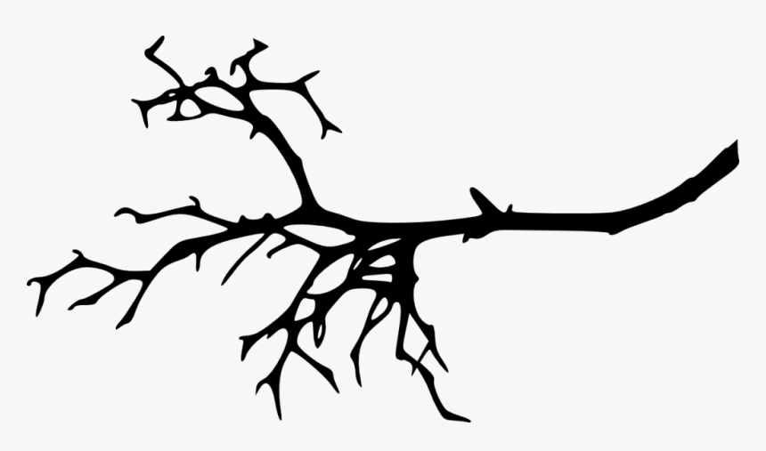 Transparent Tree Limb Png - Silhouette Tree Branch Clipart, Png Download, Free Download