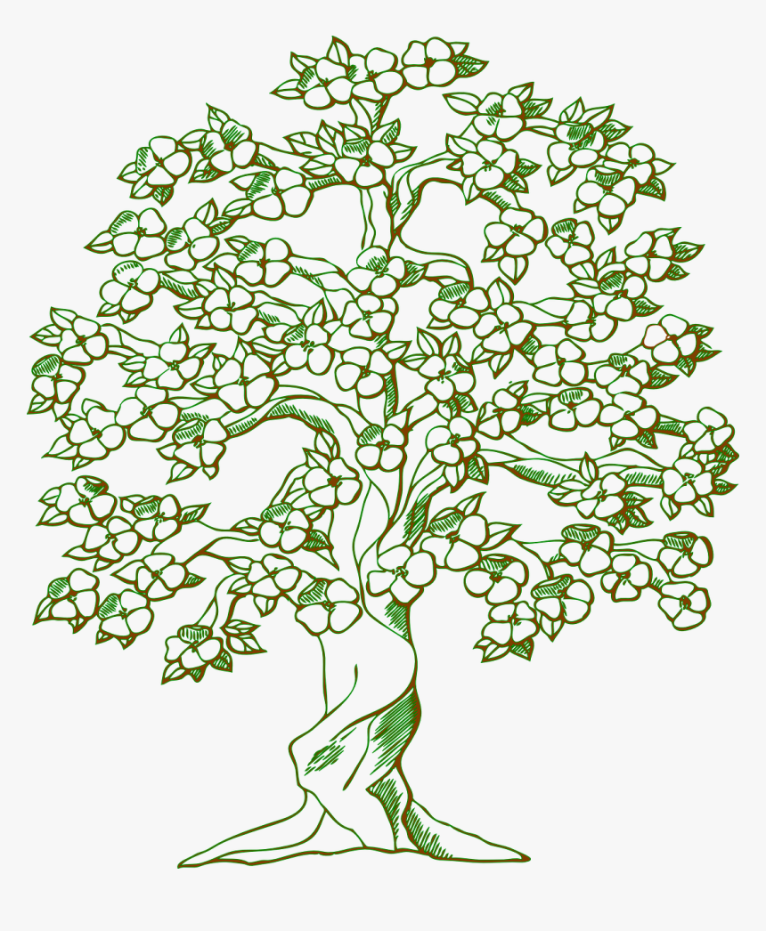 Tree With Flowers Drawing, HD Png Download, Free Download