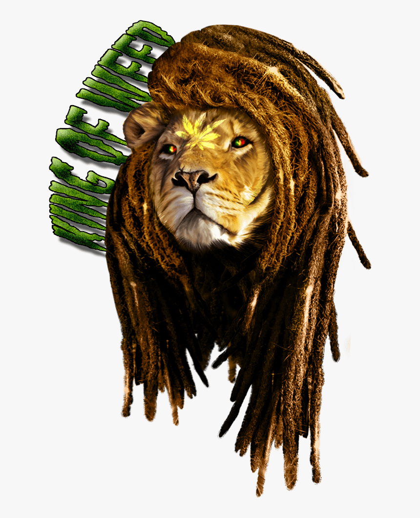 Rastafarian Lion Of Judah Tattoo - Leon Con Rastas Png, Transparent Png -  kindpng
