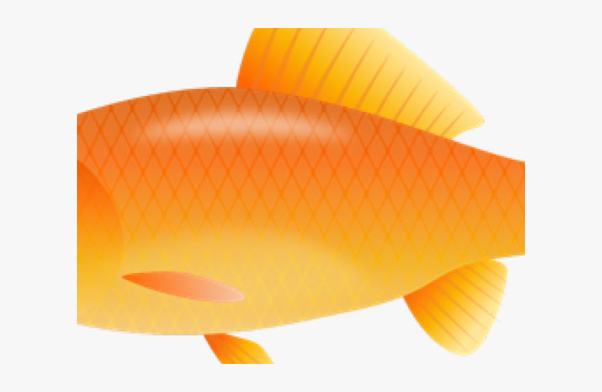 Transparent Goldfish Clipart, HD Png Download, Free Download