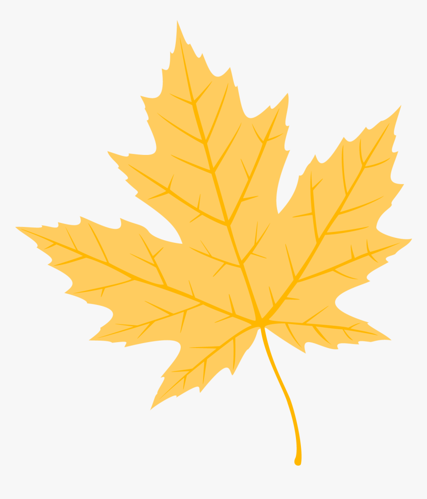 Fall Leaf Png, Transparent Png, Free Download