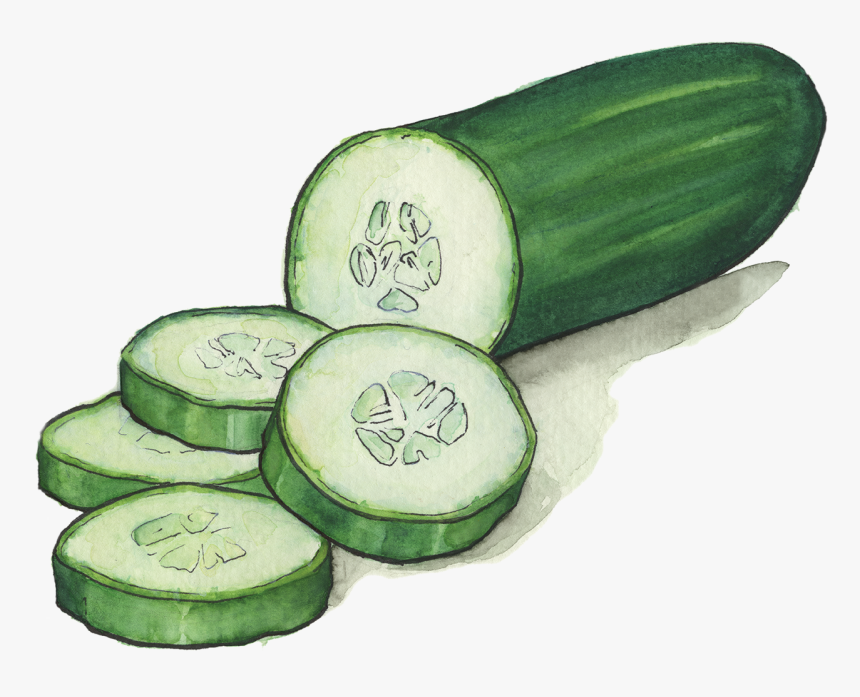 Cucumber Transparent , Png Download, Png Download, Free Download