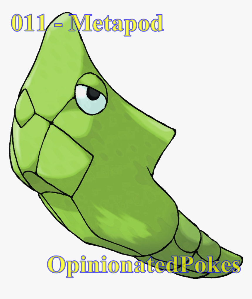 011 - Metapod Harden - Harden - Harden - Harden - Harden, HD Png Download, Free Download