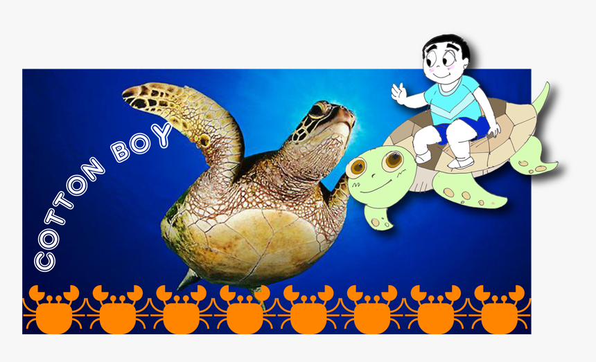 Sea Turtle Png, Transparent Png, Free Download