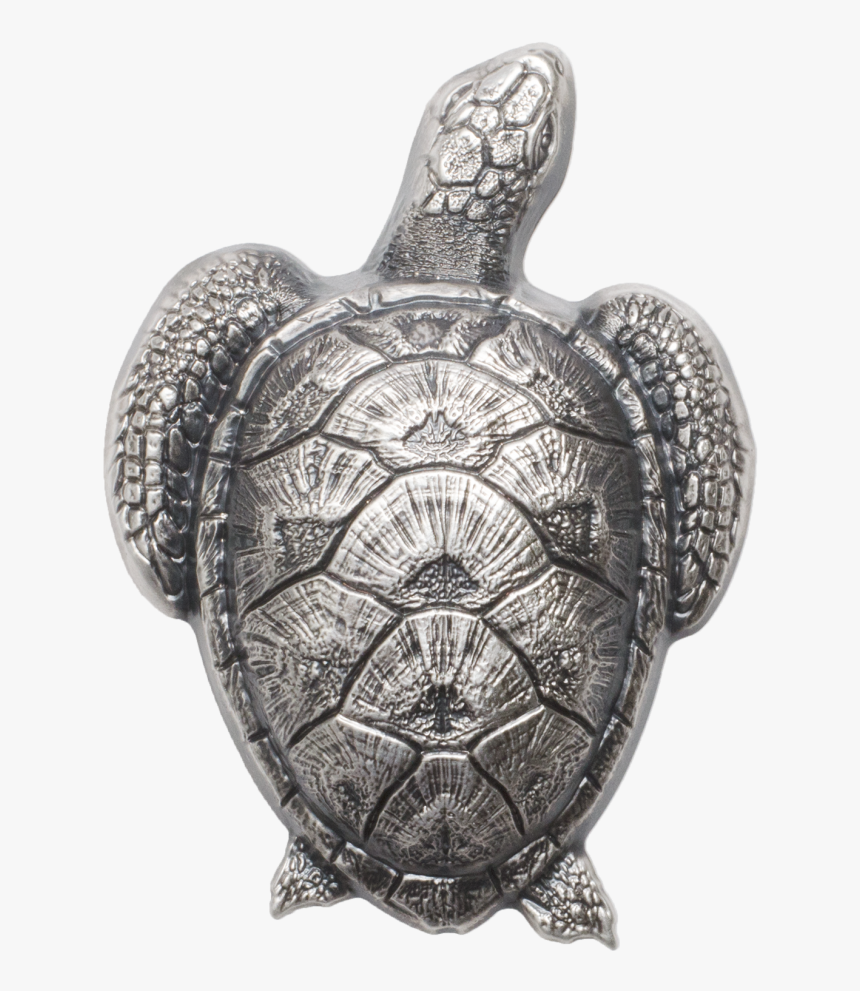 Sea Turtle Png, Transparent Png, Free Download