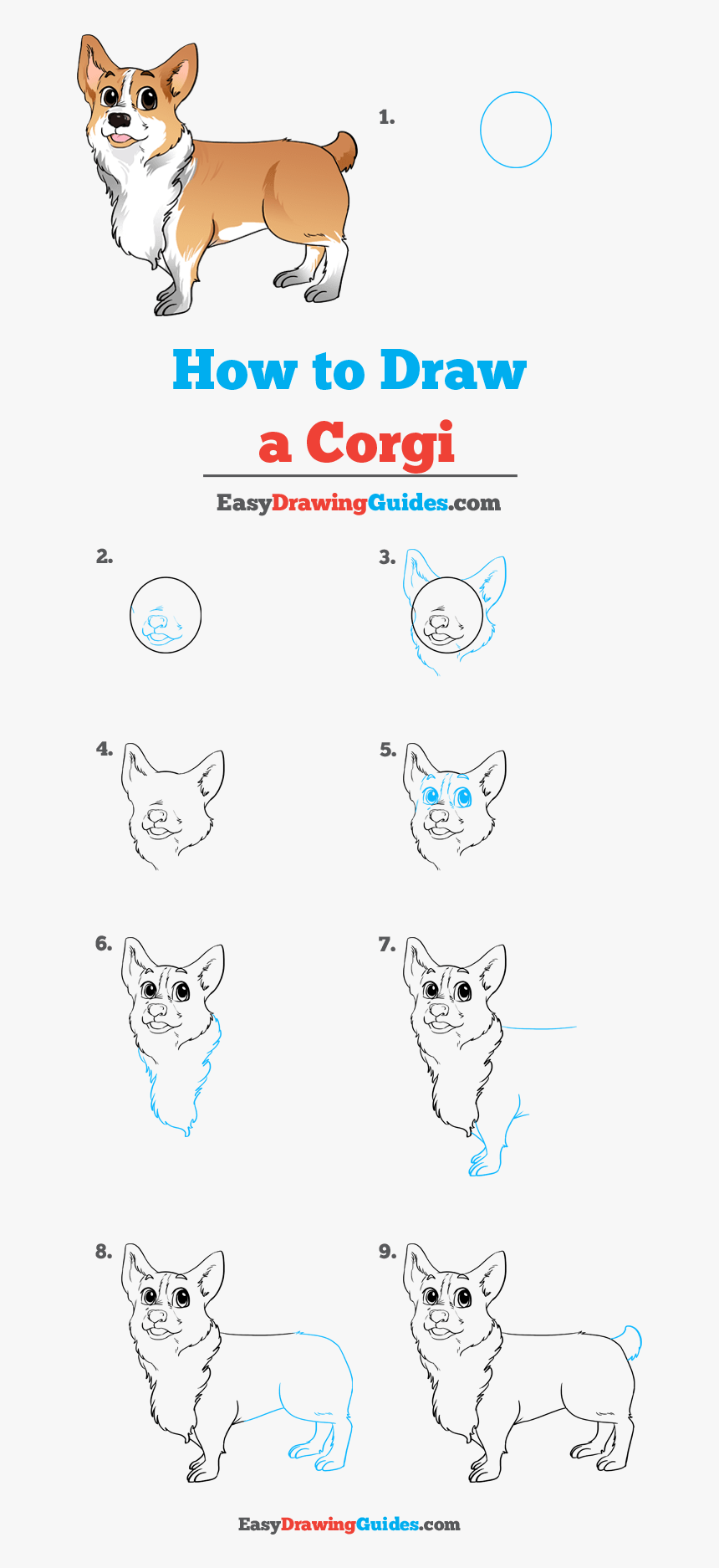 How To Draw Corgi, HD Png Download, Free Download