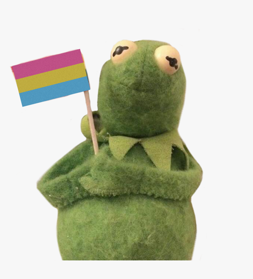 #freetoedit #kermit #pansexual #panflag #pride #panpride, HD Png Download, Free Download