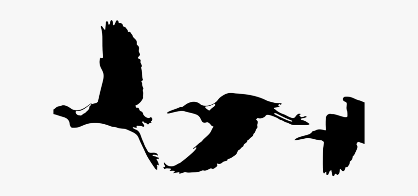 Bird Silhouette Cliparts, HD Png Download, Free Download