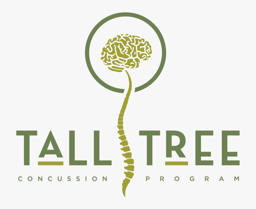 Concussion Program Logo, HD Png Download, Free Download