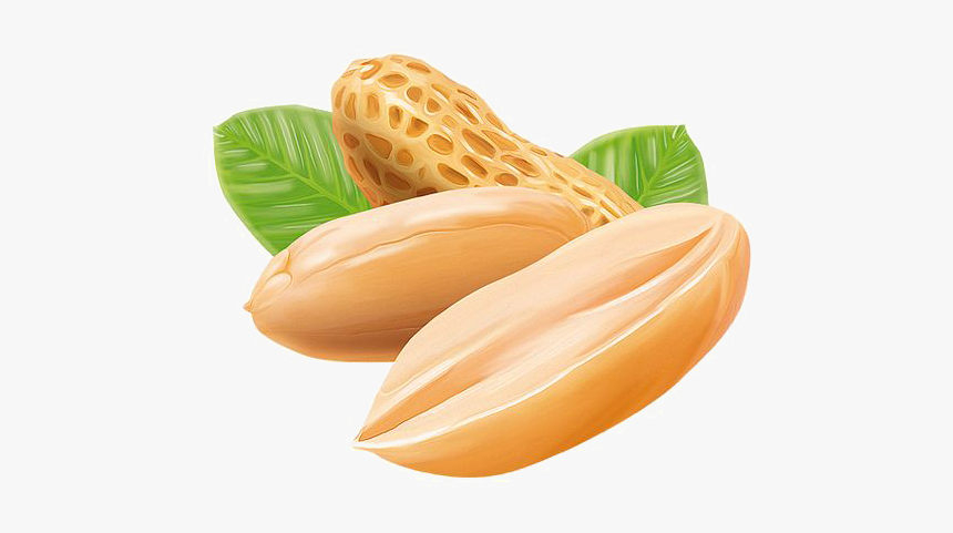 Peanut Png Download, Transparent Png, Free Download